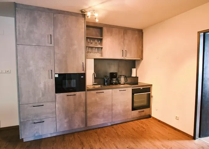 招待所 金莱纳旅馆 4*