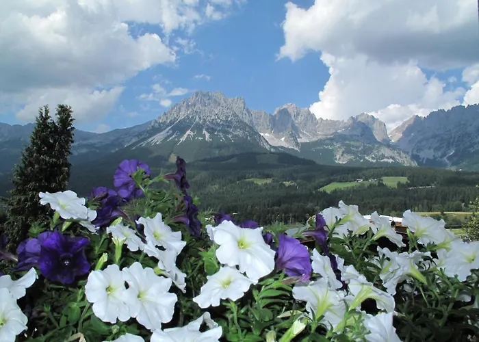 金莱纳旅馆 4* 埃尔毛