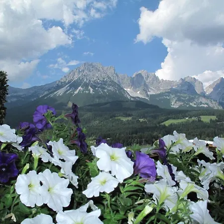 Rainer 4* Элльмау